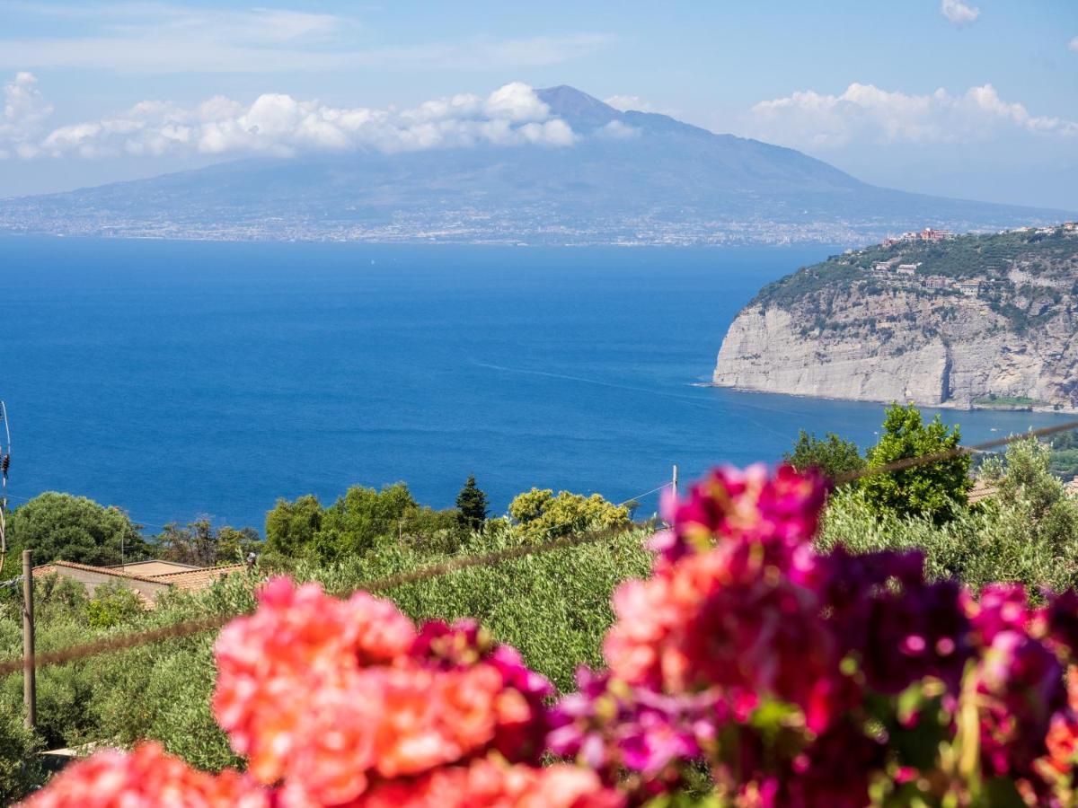 Vakantiehuis Il Sogno Di Lorna *